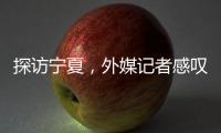 探訪寧夏，外媒記者感嘆“中非合作像及時雨”