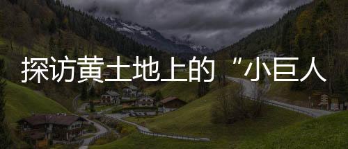 探訪黃土地上的“小巨人”