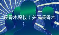 接骨木魔杖（關(guān)于接骨木魔杖的基本情況說(shuō)明介紹）