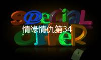 情緣情仇第34