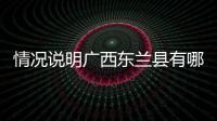 情況說明廣西東蘭縣有哪些鎮與廣西河池東蘭有哪些鎮的原因
