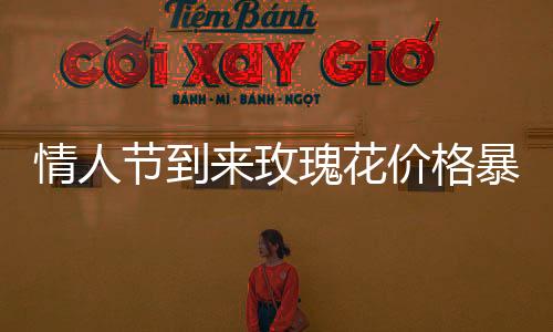 情人節到來玫瑰花價格暴漲 一扎玫瑰從30元漲至160元