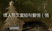 情人節(jié)文案短句愛情（情人節(jié)文案短句愛情形容男人小氣的文案）