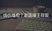 情傷難愈？謝霆鋒王菲復合7年不結婚，兩人或已嘗透婚姻心酸