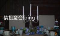 情投意合(qíng tóu yì hé)究竟怎么回事?