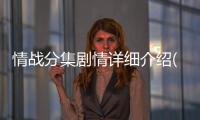 情戰(zhàn)分集劇情詳細(xì)介紹(1