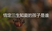 情定三生知夏的孩子是誰的