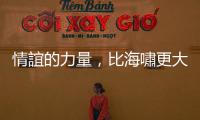 情誼的力量，比海嘯更大｜天下雜誌