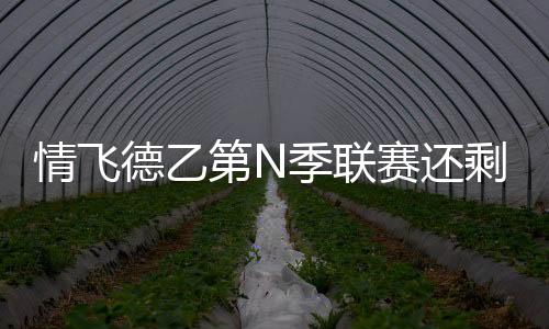 情飛德乙第N季聯賽還剩4輪，漢堡已落后升級附加賽區6分