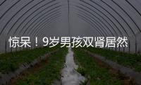 驚呆！9歲男孩雙腎居然有56顆結(jié)石