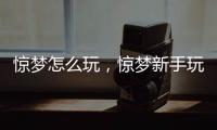 驚夢怎么玩，驚夢新手玩法攻略