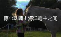 驚心動魄！海洋霸主之間的戰斗