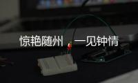 驚艷隨州，一見鐘情