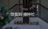 驚蟄到 播種忙