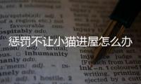懲罰不讓小貓進屋怎么辦(不讓小貓進臥室,他會記仇嗎)