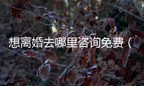 想離婚去哪里咨詢免費（想離婚去哪里咨詢）