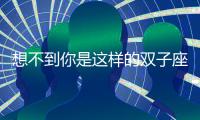想不到你是這樣的雙子座