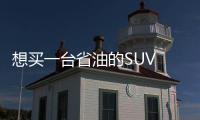 想買一臺省油的SUV 是混動還是插電混動？
