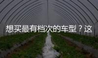 想買最有檔次的車型？這幾臺讓你面子十足