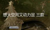 想大空間又動(dòng)力足 三款2.0T廉價(jià)SUV滿足你