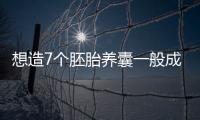 想造7個胚胎養囊一般成功幾個戳，全成功什么概念要知道