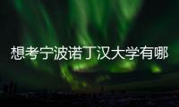 想考寧波諾丁漢大學有哪些條件？ 諾丁漢大學留學條件
