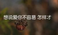 想說愛你不容易 怎樣才能給網約車正名