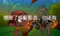 想要了解葡萄酒，你還有這些有趣的選擇