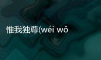 惟我獨尊(wéi wǒ dú zūn)究竟怎么回事?