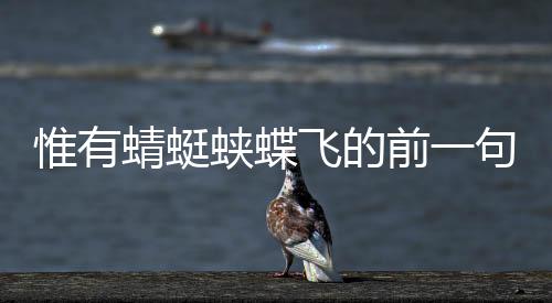 惟有蜻蜓蛺蝶飛的前一句是啥（唯有蜻蜓蛺蝶飛的前一句）