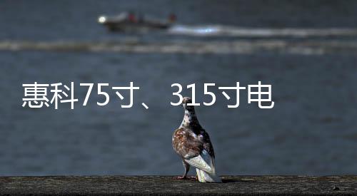 惠科75寸、315寸電子紙亮相TouchTaiwan