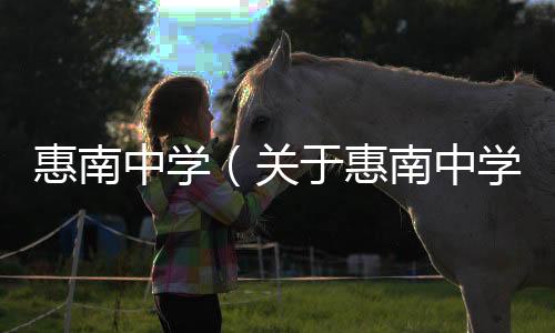 惠南中學（關于惠南中學的基本情況說明介紹）