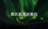惠農直播進果園