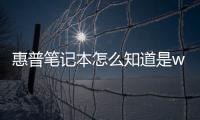 惠普筆記本怎么知道是windows幾？（惠普筆記本）