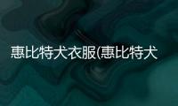 惠比特犬衣服(惠比特犬拆家嗎)