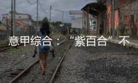 意甲綜合：“紫百合”不敵恩波利 烏迪內斯戰平萊切