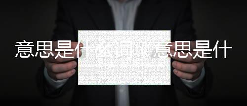 意思是什么詞（意思是什么）