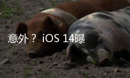 意外？ iOS 14曝光了新一代iMac一體機(jī)