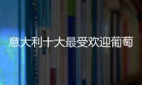 意大利十大最受歡迎葡萄酒