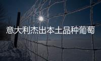 意大利杰出本土品種葡萄酒的幕后釀酒師們