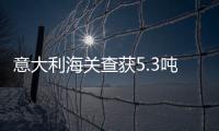 意大利海關查獲5.3噸可卡因，散貨船船員被捕