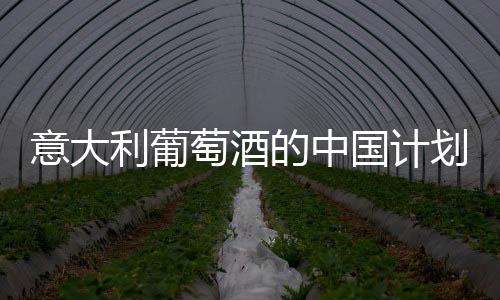 意大利葡萄酒的中國計劃：出口量實現兩位數增長