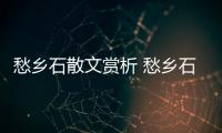 愁鄉石散文賞析 愁鄉石散文的意義