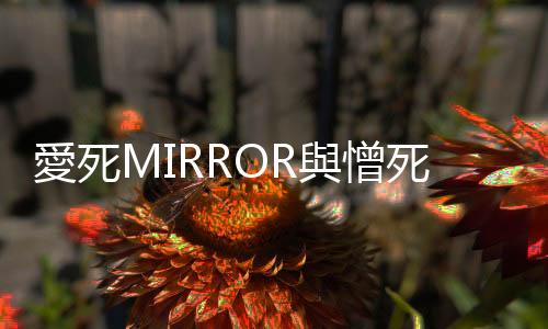 愛死MIRROR與憎死MIRROR：流行文化的社會脈絡