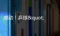 感動！乒球"海外軍團(tuán)"超團(tuán)結(jié)，改了國籍仍是中華兒女