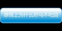 感情上為什么好馬不吃回頭草（為什么好馬不吃回頭草）
