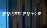 憤怒的意思 憤怒什么意思