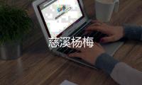 慈溪楊梅