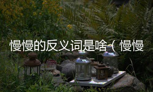 慢慢的反義詞是啥（慢慢的反義詞）