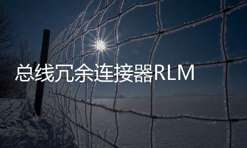 總線冗余連接器RLM 01 3BDZ000398R1